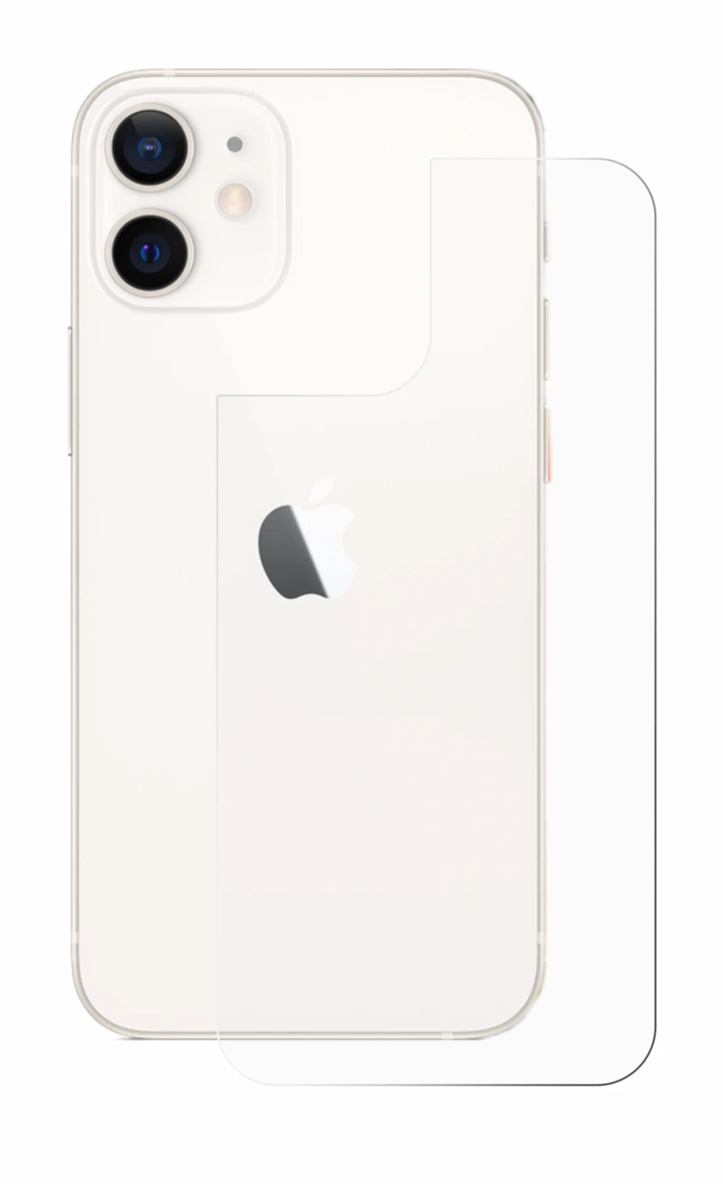 Imagen del dispositivo Apple iPhone 12 mini (Trasero) con una amplia variedad de protectores de pantalla.