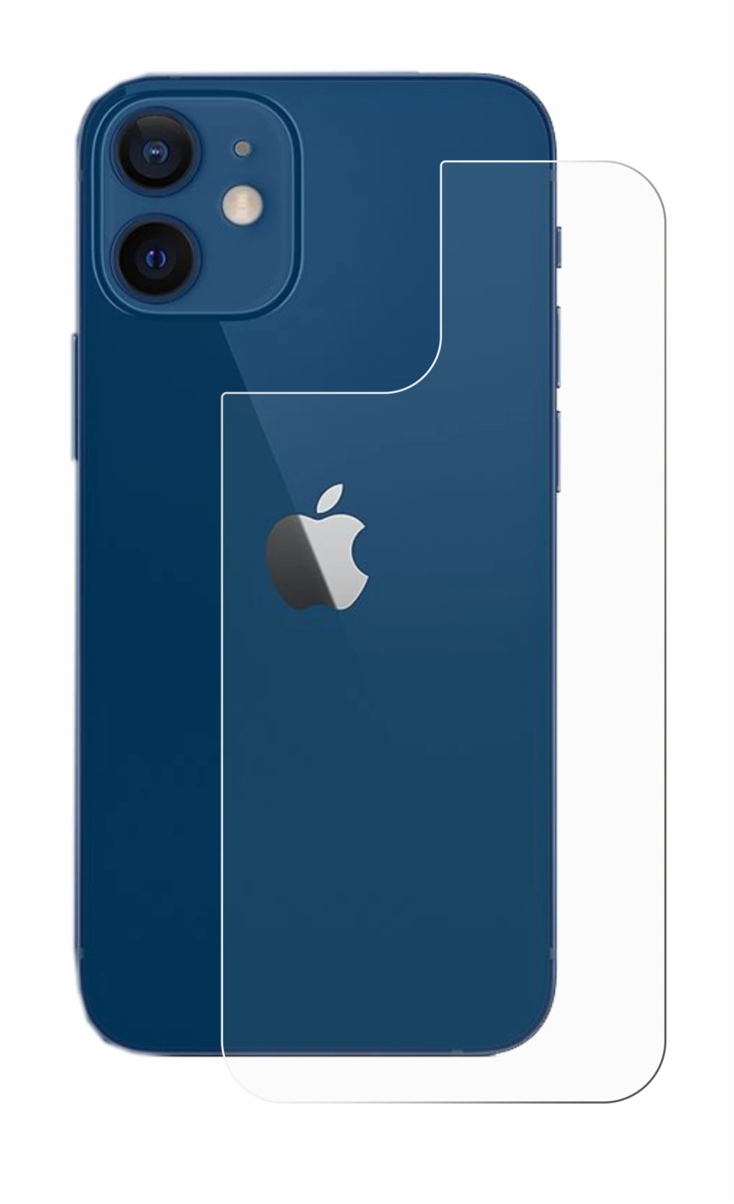Imagen del dispositivo Apple iPhone 12 (Trasero) con una amplia variedad de protectores de pantalla.