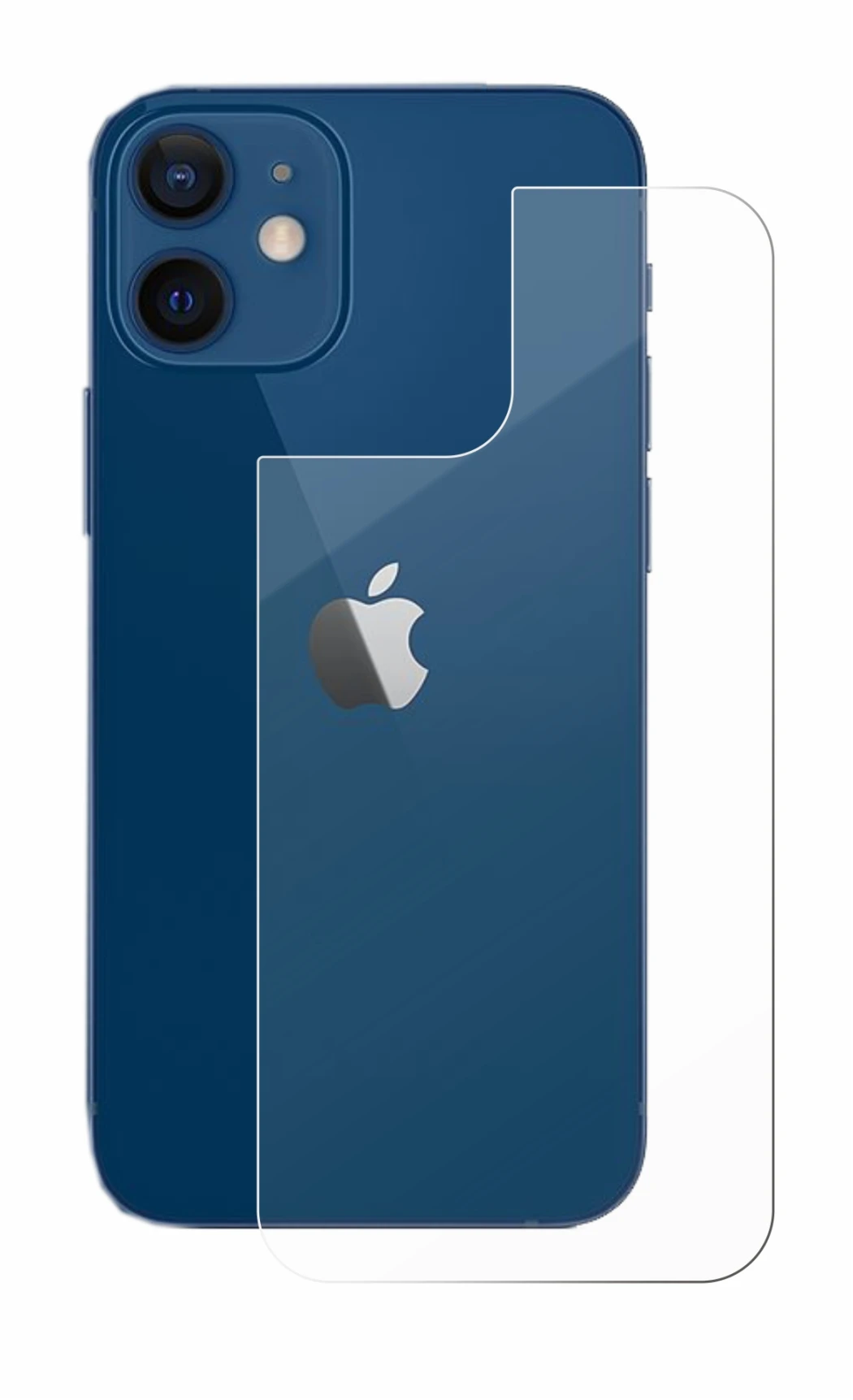 Imagen del dispositivo Apple iPhone 12 (Trasero) con una amplia variedad de protectores de pantalla.