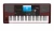 Imagen del dispositivo KORG Pa700 con una amplia variedad de protectores de pantalla.